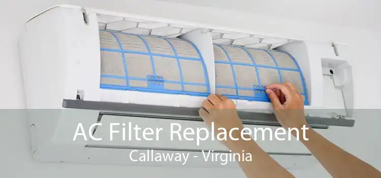 AC Filter Replacement Callaway - Virginia