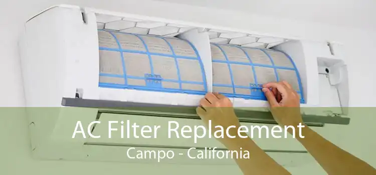 AC Filter Replacement Campo - California