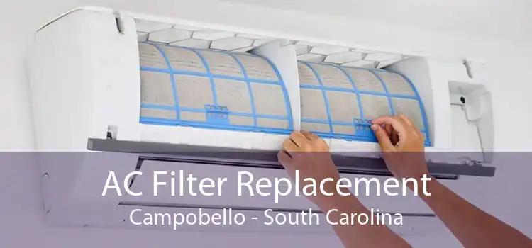 AC Filter Replacement Campobello - South Carolina