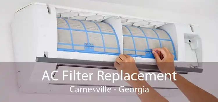 AC Filter Replacement Carnesville - Georgia