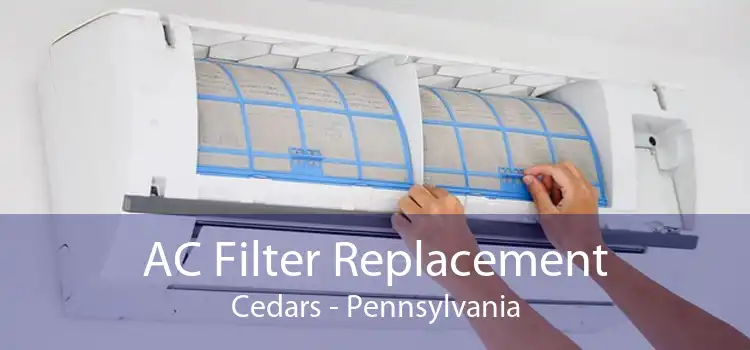 AC Filter Replacement Cedars - Pennsylvania