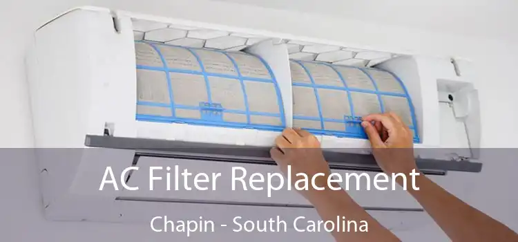 AC Filter Replacement Chapin - South Carolina