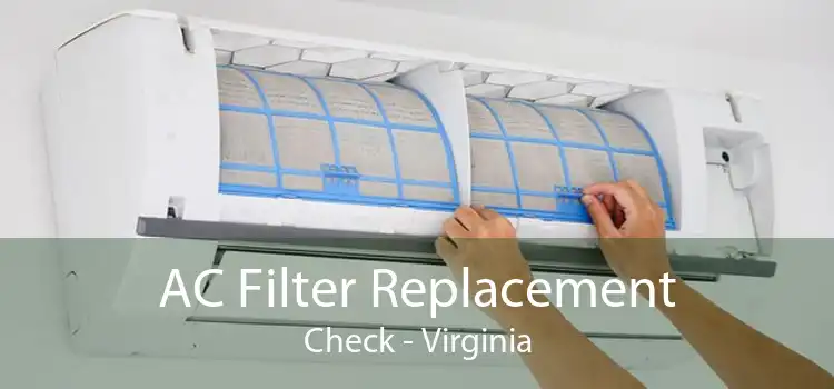 AC Filter Replacement Check - Virginia