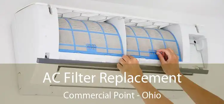 AC Filter Replacement Commercial Point - Ohio