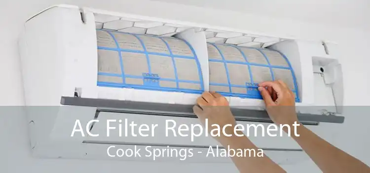 AC Filter Replacement Cook Springs - Alabama