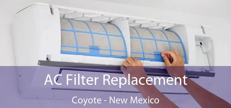 AC Filter Replacement Coyote - New Mexico