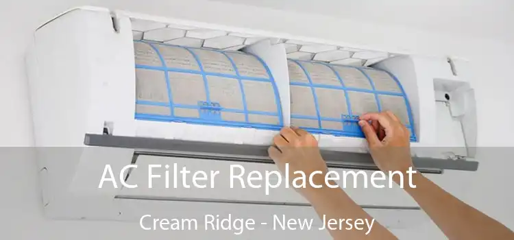 AC Filter Replacement Cream Ridge - New Jersey