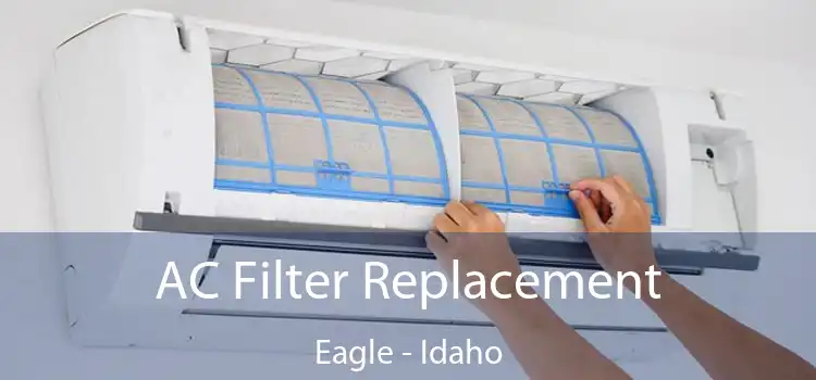 AC Filter Replacement Eagle - Idaho