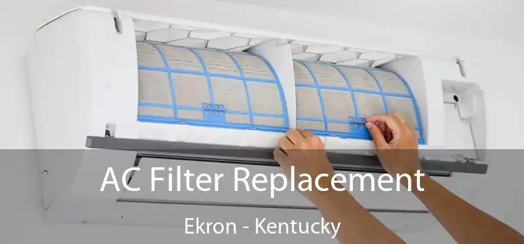 AC Filter Replacement Ekron - Kentucky