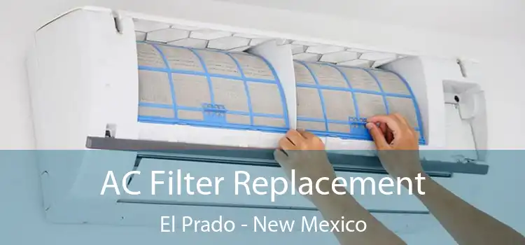 AC Filter Replacement El Prado - New Mexico