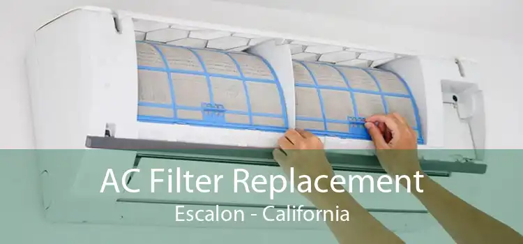 AC Filter Replacement Escalon - California