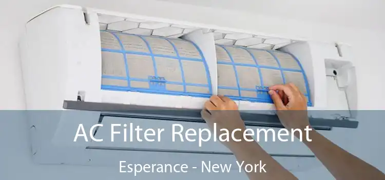 AC Filter Replacement Esperance - New York