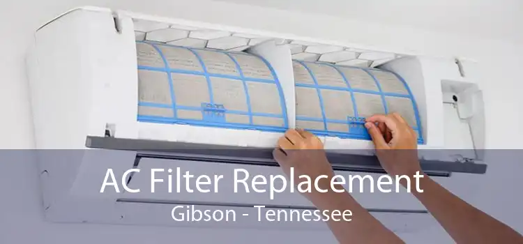 AC Filter Replacement Gibson - Tennessee