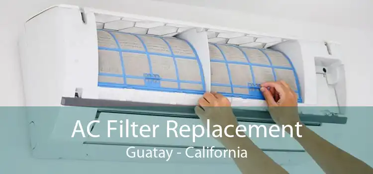 AC Filter Replacement Guatay - California