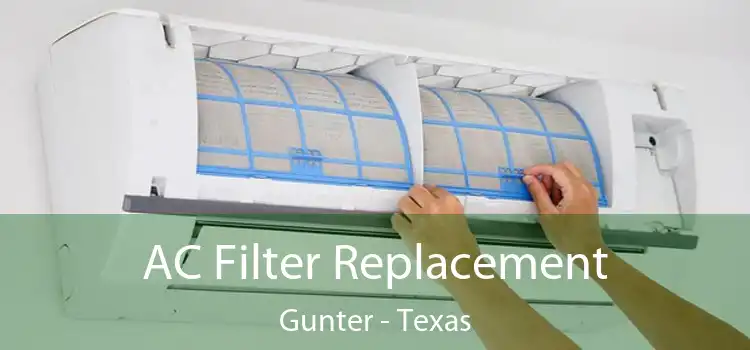 AC Filter Replacement Gunter - Texas