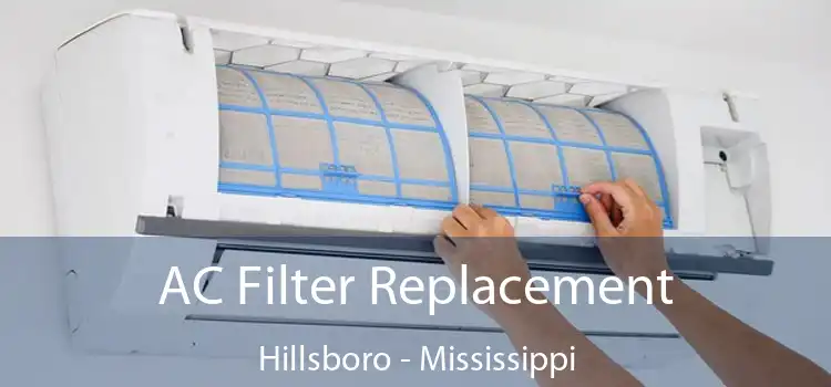 AC Filter Replacement Hillsboro - Mississippi