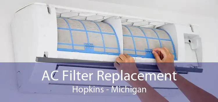 AC Filter Replacement Hopkins - Michigan
