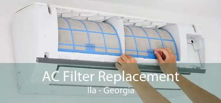 AC Filter Replacement Ila - Georgia