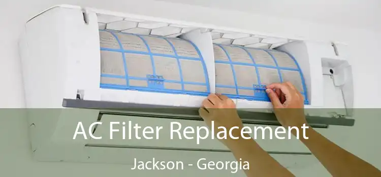 AC Filter Replacement Jackson - Georgia