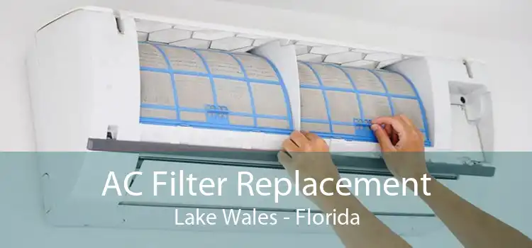AC Filter Replacement Lake Wales - Florida