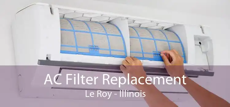 AC Filter Replacement Le Roy - Illinois
