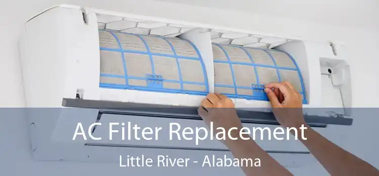 AC Filter Replacement Little River - Alabama