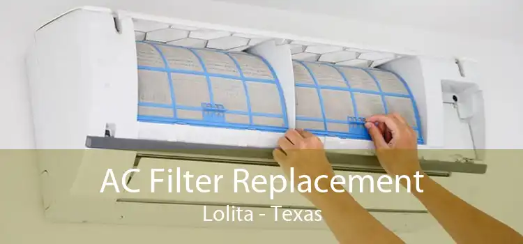 AC Filter Replacement Lolita - Texas