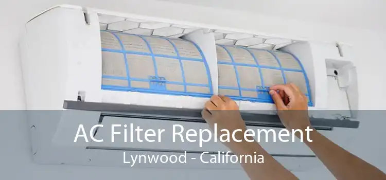 AC Filter Replacement Lynwood - California