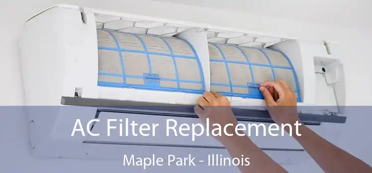 AC Filter Replacement Maple Park - Illinois