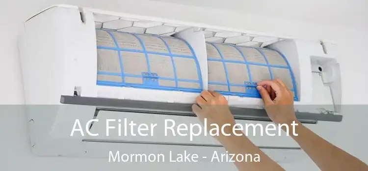 AC Filter Replacement Mormon Lake - Arizona