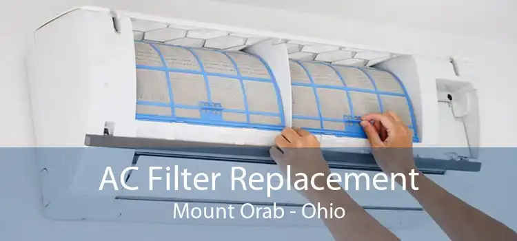 AC Filter Replacement Mount Orab - Ohio