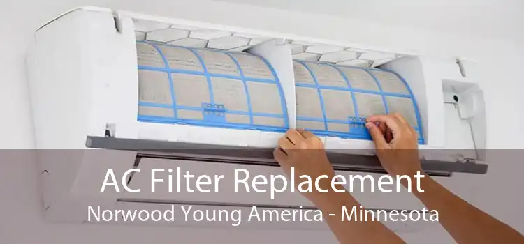AC Filter Replacement Norwood Young America - Minnesota
