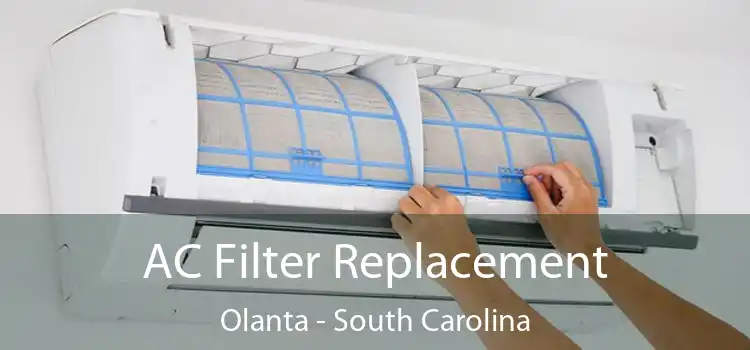 AC Filter Replacement Olanta - South Carolina