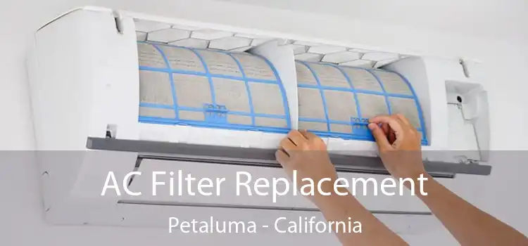 AC Filter Replacement Petaluma - California