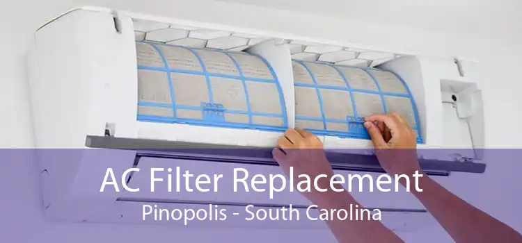 AC Filter Replacement Pinopolis - South Carolina