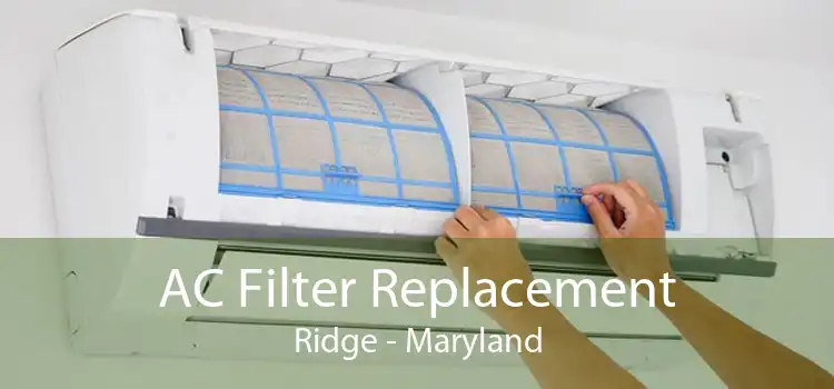 AC Filter Replacement Ridge - Maryland