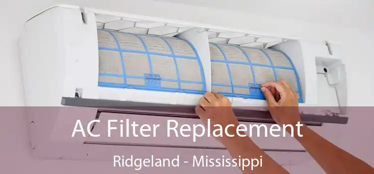 AC Filter Replacement Ridgeland - Mississippi