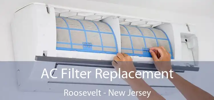 AC Filter Replacement Roosevelt - New Jersey