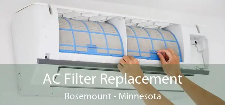 AC Filter Replacement Rosemount - Minnesota