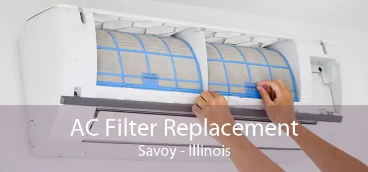 AC Filter Replacement Savoy - Illinois