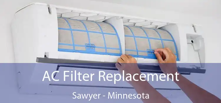 AC Filter Replacement Sawyer - Minnesota