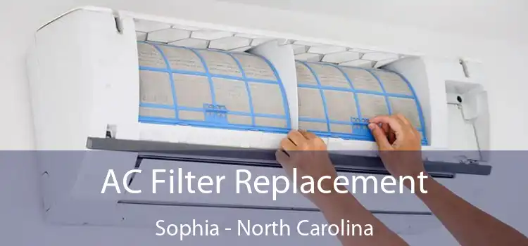 AC Filter Replacement Sophia - North Carolina