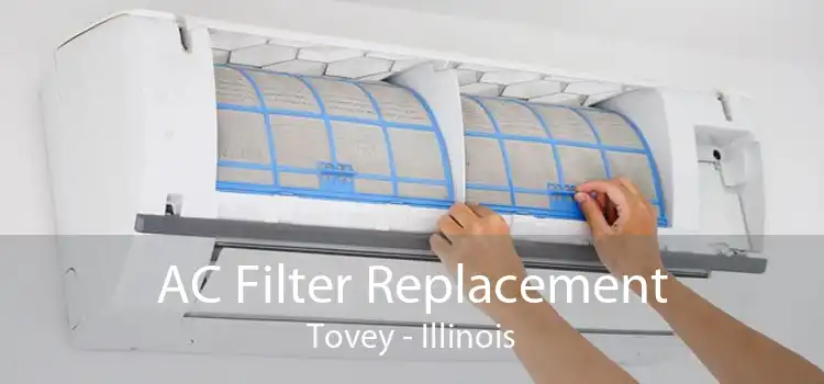 AC Filter Replacement Tovey - Illinois