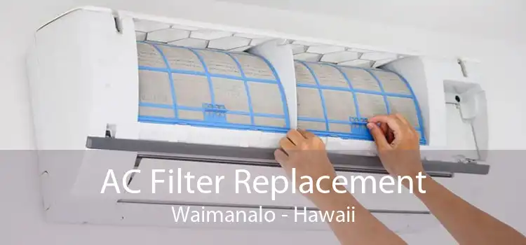 AC Filter Replacement Waimanalo - Hawaii