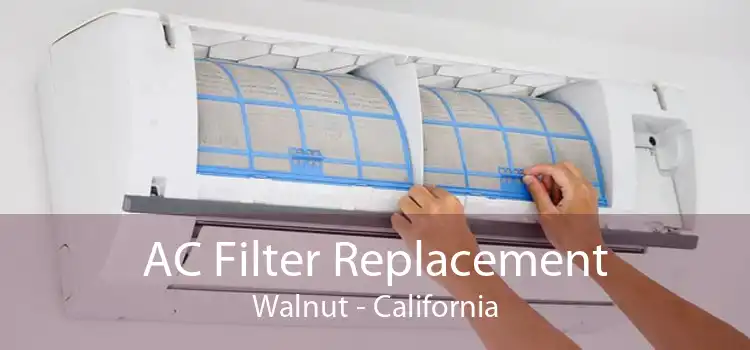 AC Filter Replacement Walnut - California