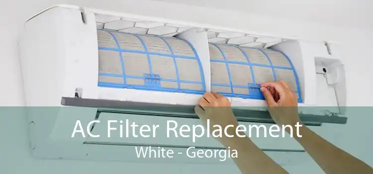 AC Filter Replacement White - Georgia