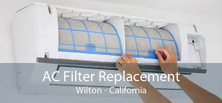 AC Filter Replacement Wilton - California