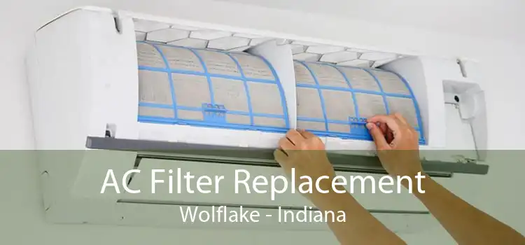 AC Filter Replacement Wolflake - Indiana
