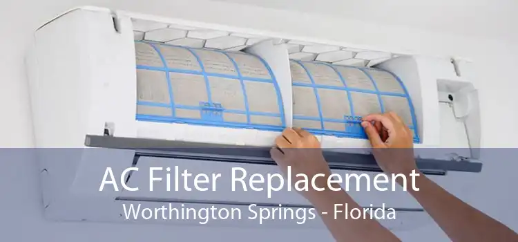 AC Filter Replacement Worthington Springs - Florida
