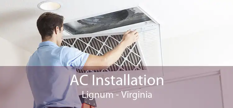 AC Installation Lignum - Virginia